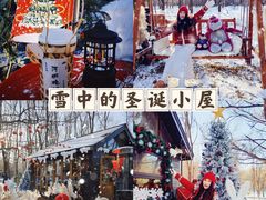 -长白岛森林公园