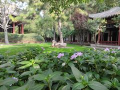 -碑林公园