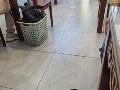 -百年老字号·观振兴蟹黄面·三虾面·苏式面(观前街富仁坊巷店)