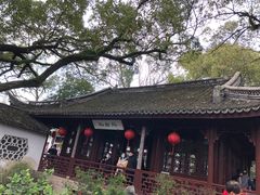 -上海醉白池公园