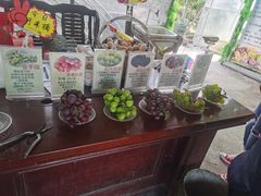 -马陆小张葡萄园农家乐