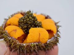 -原志优秀食材·匠心料理·海胆主题(金亿广场店)