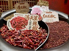 -蜀大侠火锅(总府路全国总店)