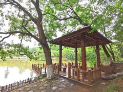 -金陵矩阵(聚宝山公园店)