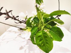 -今日陶艺(富力广场店)