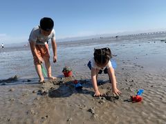 -南汇嘴观海公园