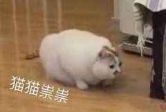 -肯德基(洛川店)