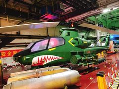 -泰达航母主题公园