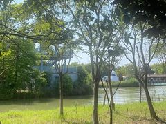 -苏州太湖国家湿地公园