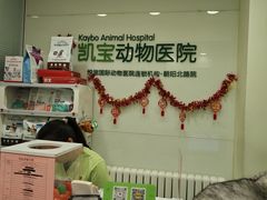 -悦宠凯宝动物医院·牙科·皮肤科(朝阳北路店)