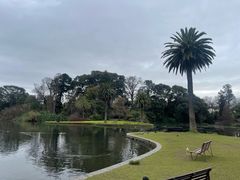 -墨尔本皇家植物园