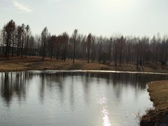 -黄海国家森林公园