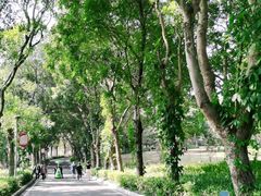 -东莞植物园