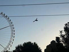 -石家庄极地海洋世界