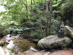 -王顺山国家森林公园