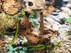 -成都浩海立方海洋公园