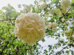 -上海滨江森林公园