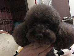 -谐和贝康宠物医院24小时·宠保定点(急重症转诊中心)