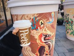 -Peet's Coffee皮爷咖啡(大学路店)