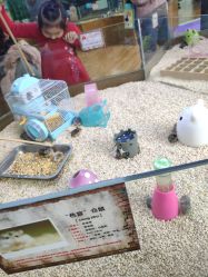 -未来动物城主题公园(正弘城店)