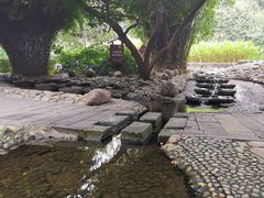 -成都市活水公园