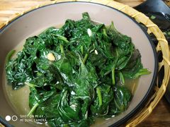 九层塔炒番薯叶-花二家·生活馆(六运小区店)