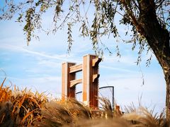 -羊亭河湿地公园