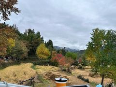 -塔川景区