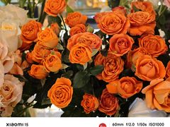 -BoBloom花店(晶耀前滩店)