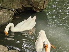 -兰亭风景区