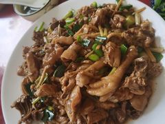 现杀果园鸡—黄焖鸡-生态苑农庄(十里画廊遇龙河店)