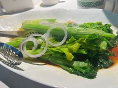-三强鸽子(中原路店)