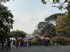 -海珠湖公园