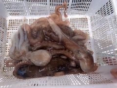 -常家活海鲜小吃(仅一家无分店)