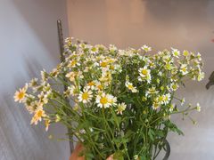 -北边的花店(泛悦城市广场店)