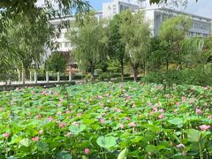 -南京信息职业技术学院