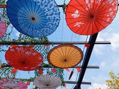 -田园寨农园观光园