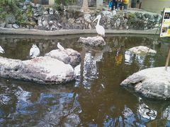 android_upload_pic-昆明动物园