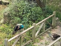 -苏州环秀晓筑养生度假村
