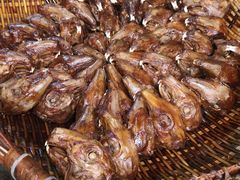 -邓氏兔头