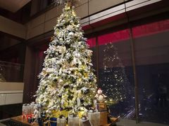 -盒马鲜生(红莲店)