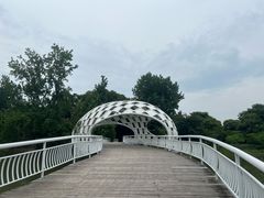 -同里国家湿地公园