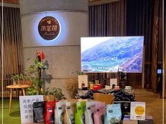 -百年朱苦拉咖啡(博物馆店)