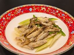 -新光酒家·河豚·海鲜·蟹料理(浦东店)
