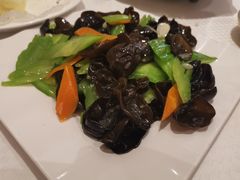 木耳苦瓜-双井轩(双井店)