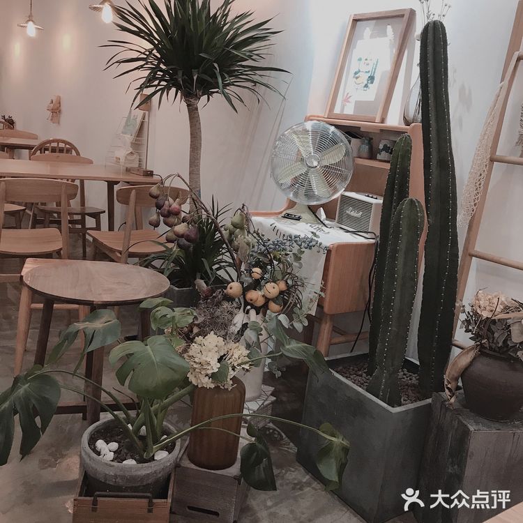 今日甜来自半勺舒舒