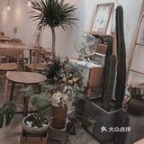 今日甜来自半勺舒舒