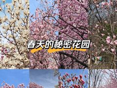 -石家庄市植物园
