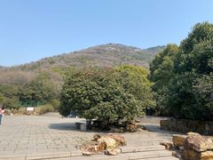 -宝岩生态观光园