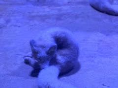 -上海海昌海洋公园-冰山北极馆